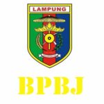 Client Jasa Pembuatan Website Lampung Force Teknologi BPBJ Provinsi Lampung